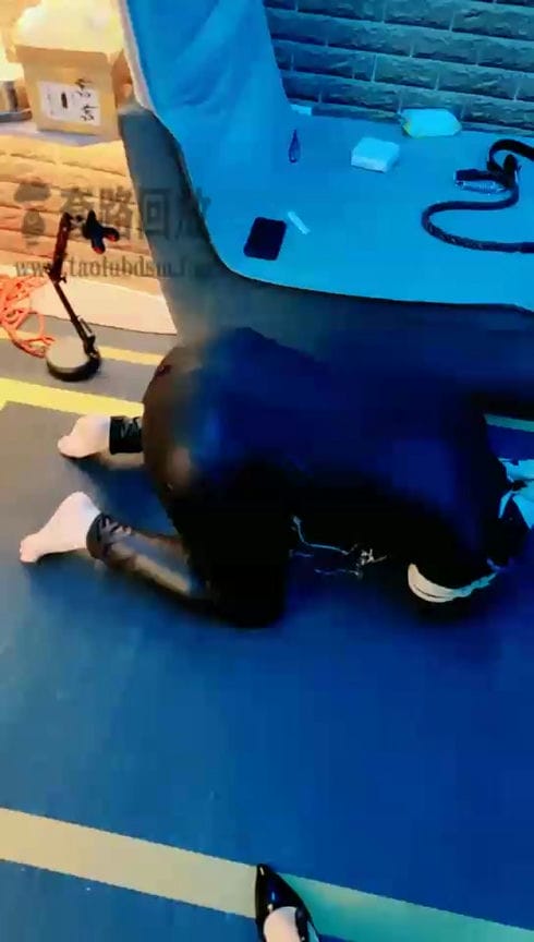 【TZ4821】东营天香百合 开始吧 惩戒 3205