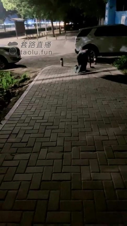 【TZ8424】俞月 20210513 调教 网约车上玩狗 5757