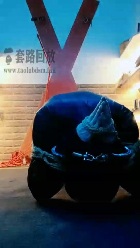 【TZ4821】东营天香百合 开始吧 惩戒 3205