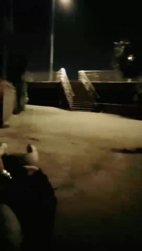 【TZ4866】丹丹 调教户外玩狗 路人不断 31分钟 3129