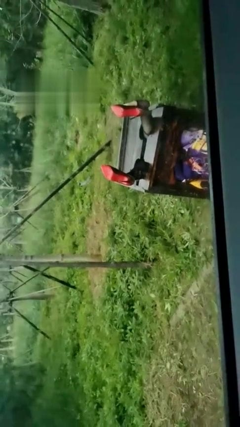 【TZ4990】北京双子姬 超强女M开发计划 2918