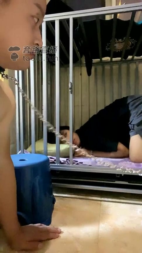 【TZ537】思S野的M20210522住狗笼圈禁圣水舔鞋底4757