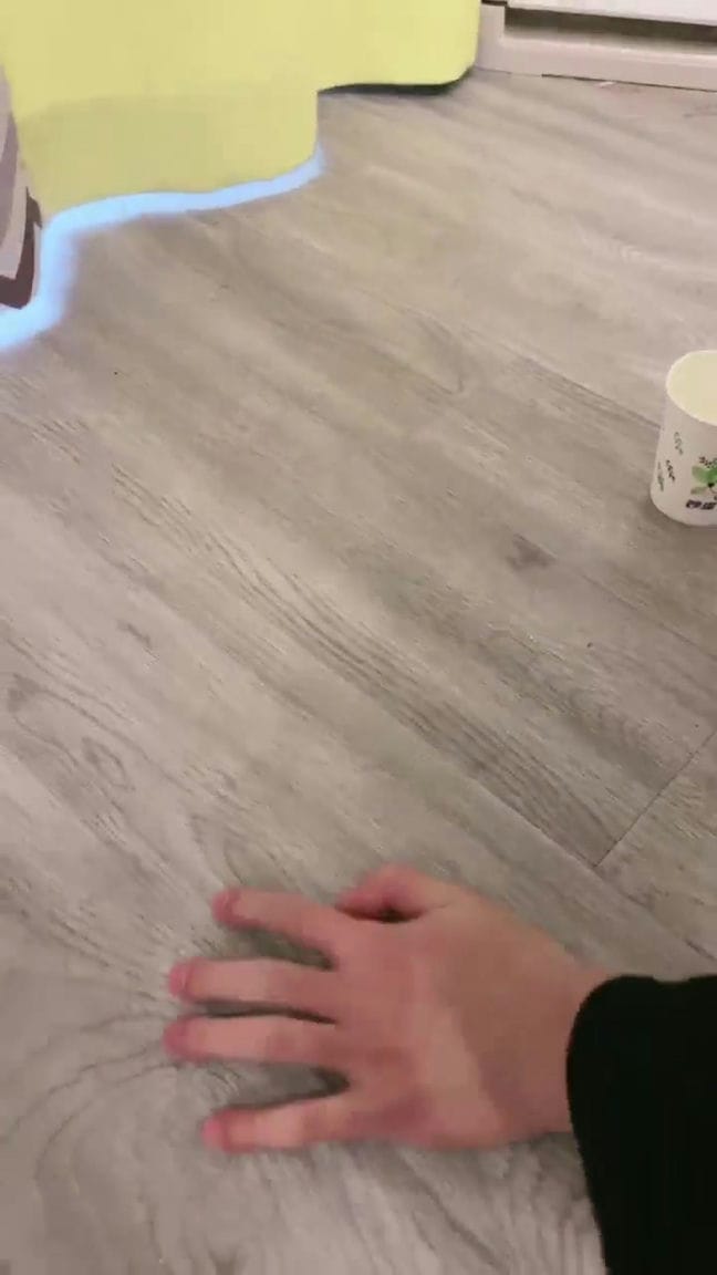 【TZ807】礼礼大人 双s羞辱狗奴 舔裸足 强迫圣水