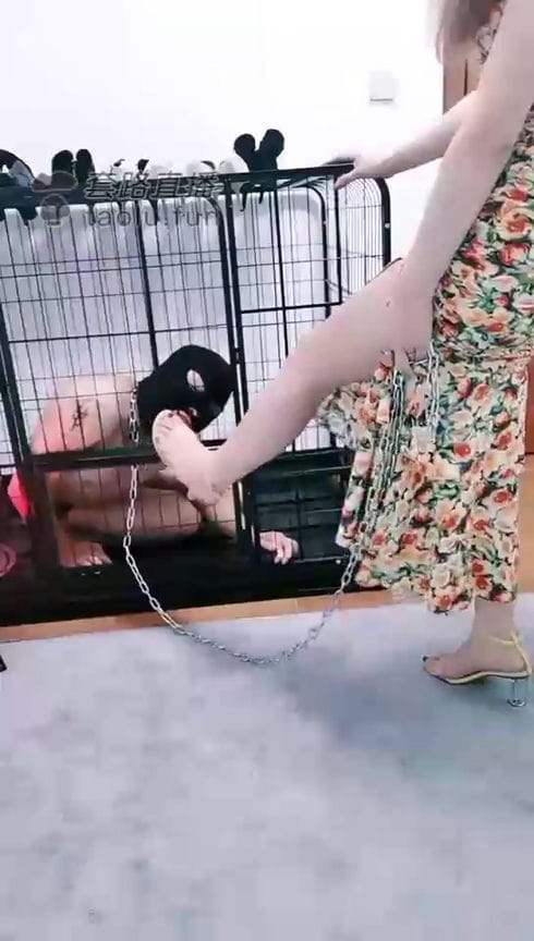 【TZ4818】东莞玲主 20210612 调教圈养狗 3056