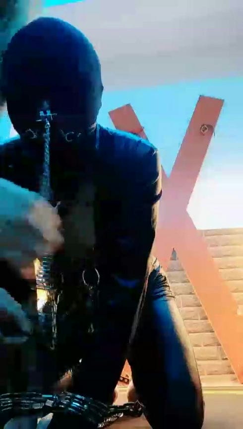 【TZ4822】东营天香百合 犯人没有自己选择的权利 3246