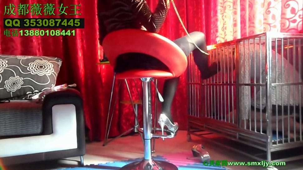 【艾彩1701】成都薇薇女王狗笼CD奴舔鞋（上）_薇薇女王玩弄圈养狗