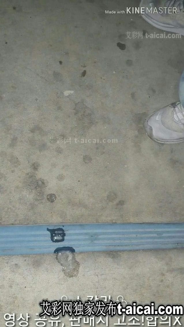 【艾彩225】HGKAc57