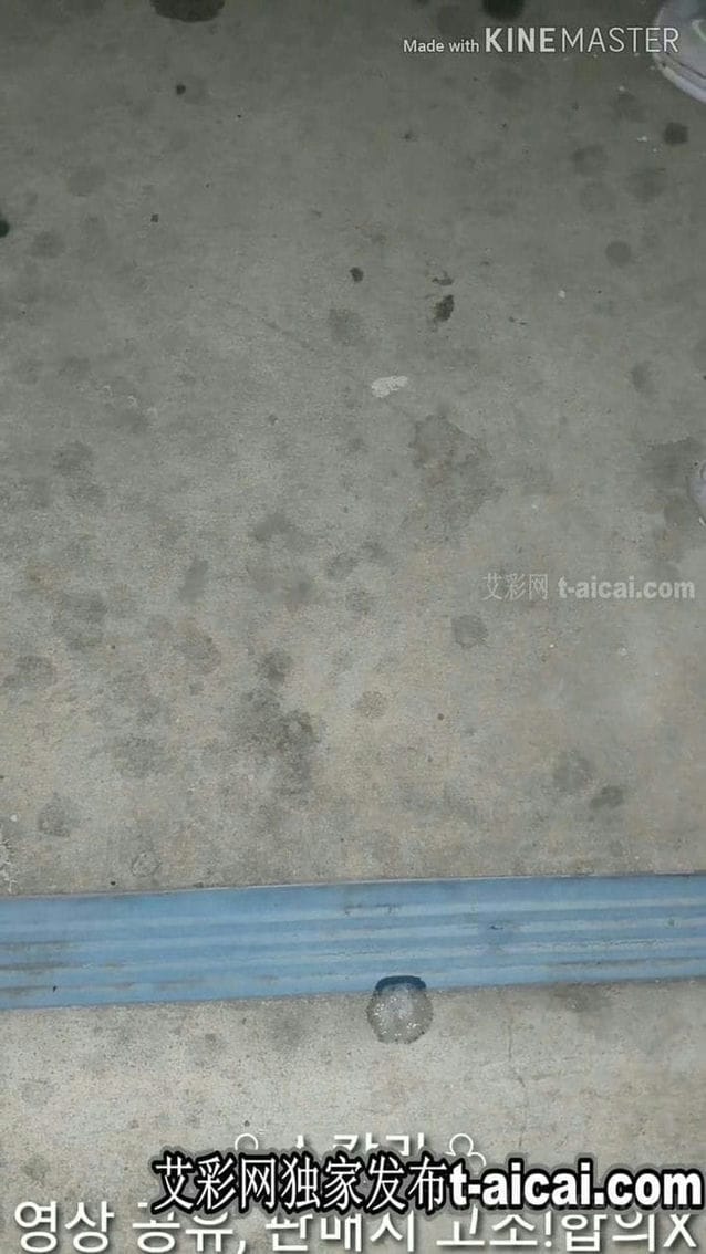 【艾彩225】HGKAc57