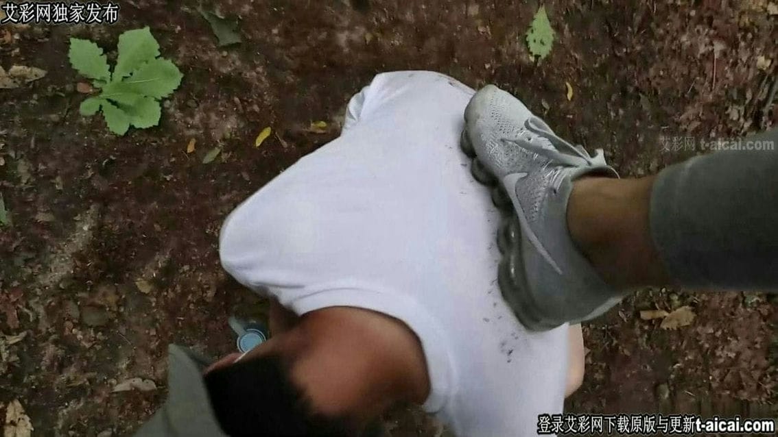 【艾彩274】HiraAc2-07