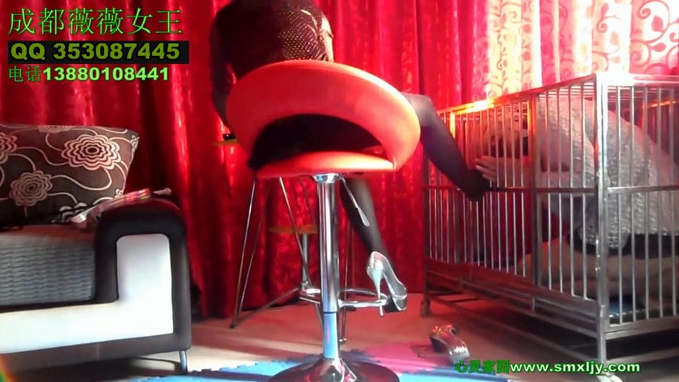 【艾彩1701】成都薇薇女王狗笼CD奴舔鞋（上）_薇薇女王玩弄圈养狗