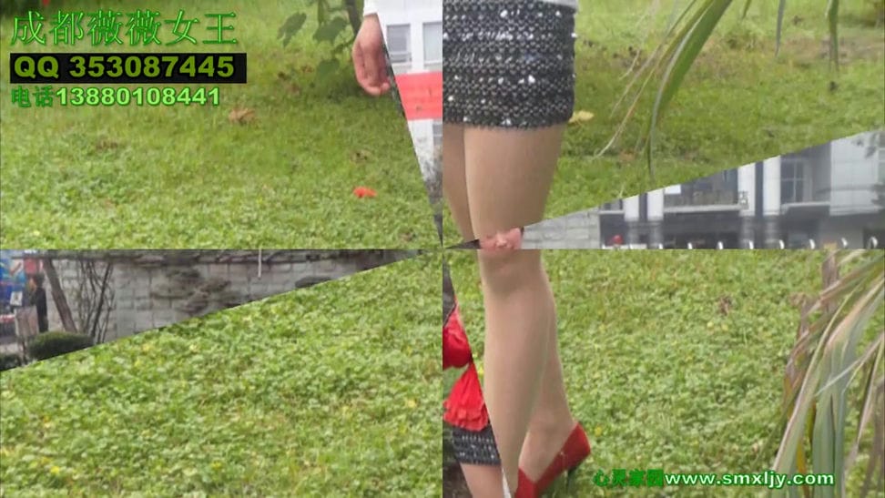 【艾彩1701】成都薇薇女王狗笼CD奴舔鞋（上）_薇薇女王玩弄圈养狗